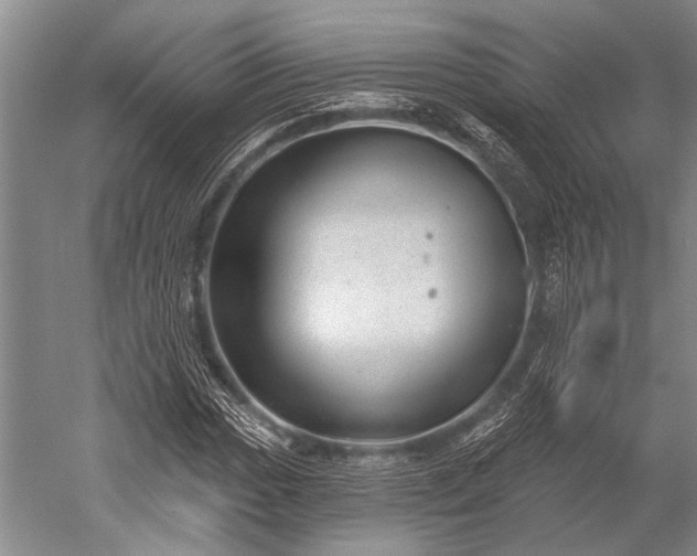 X0000052571017200507081656