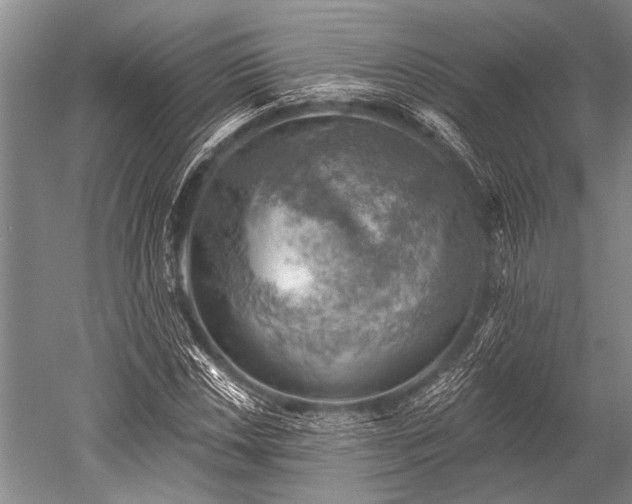 X0000052571018200507081656