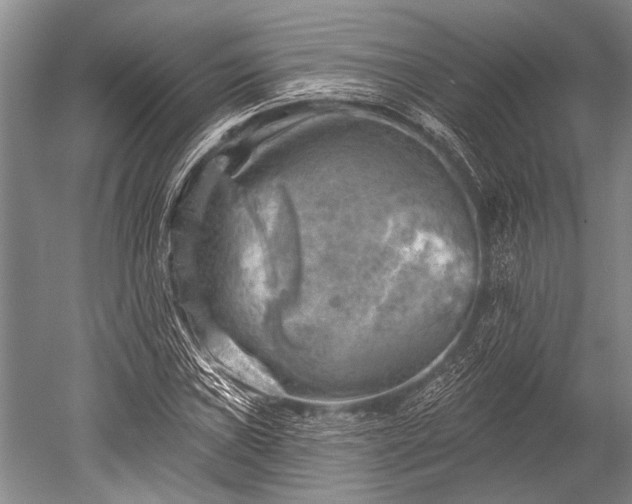 X0000052571019200507081656