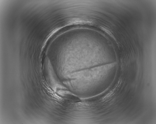 X0000052571021200507081656