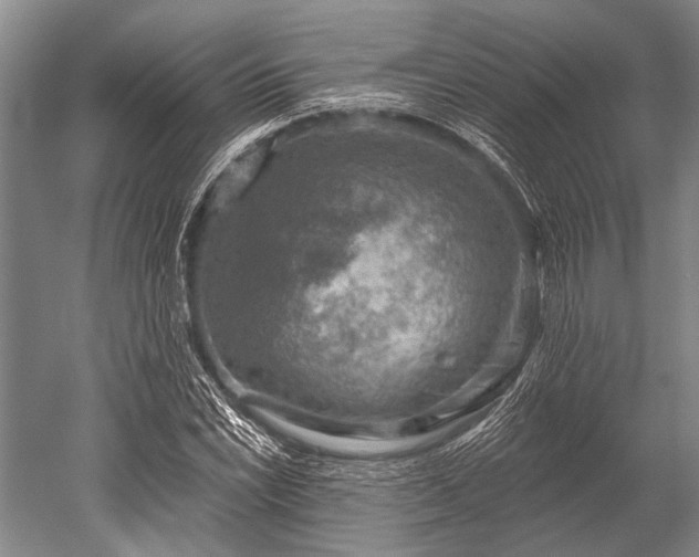 X0000052571022200507081656