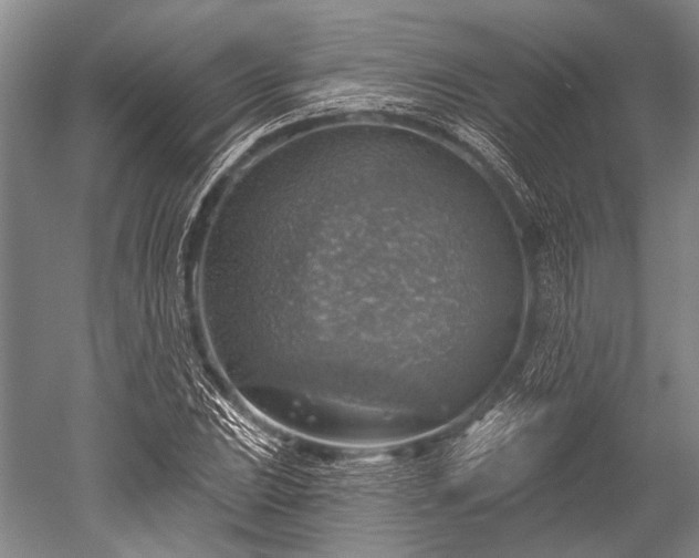 X0000052571023200507081656