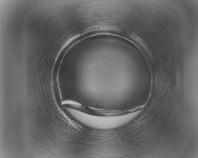 X0000052571024200507081656