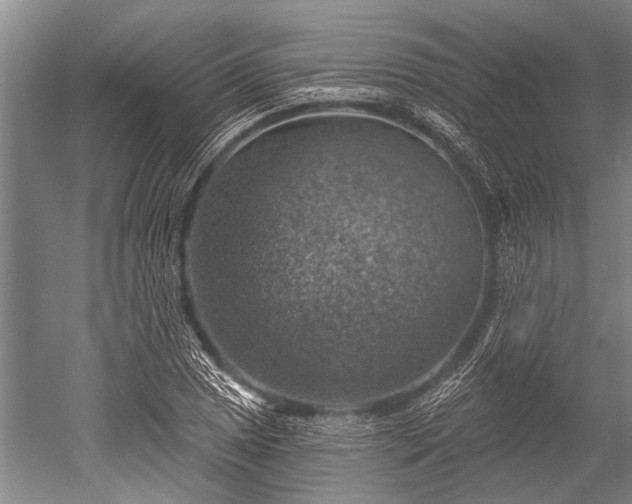 X0000052571025200507081656