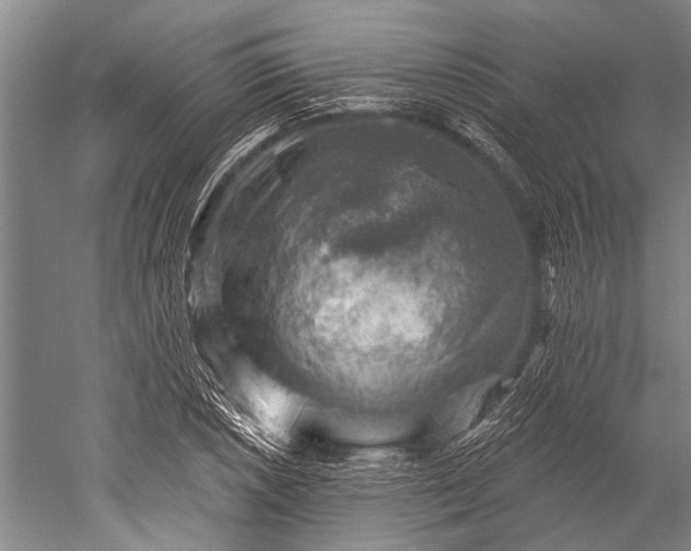 X0000052571026200507081656