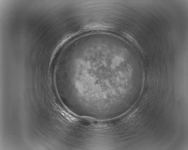 X0000052571027200507081656