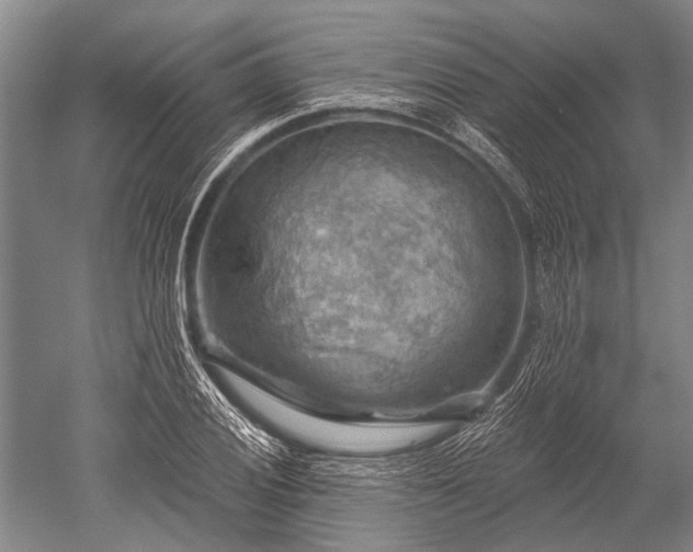 X0000052571028200507081656