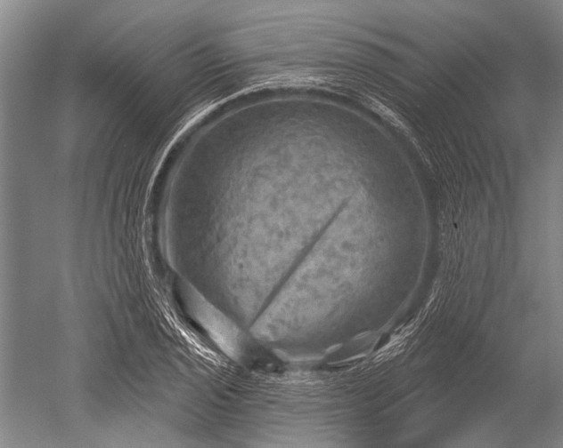 X0000052571029200507081656