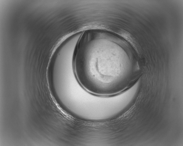 X0000052571030200507081656