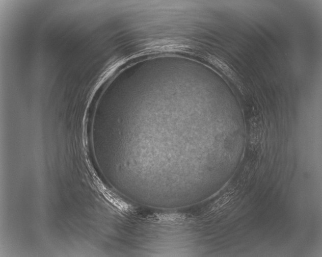 X0000052571031200507081656