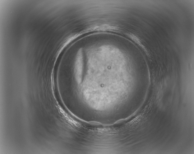 X0000052571032200507081656