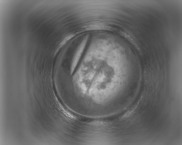 X0000052571033200507081656