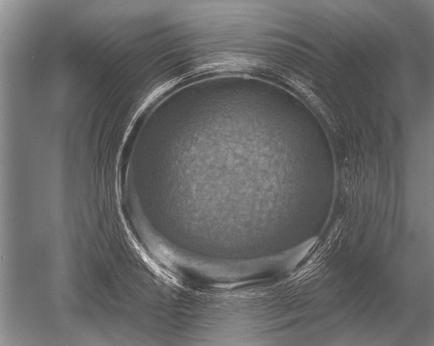 X0000052571034200507081656