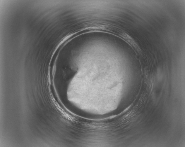 X0000052571036200507081656