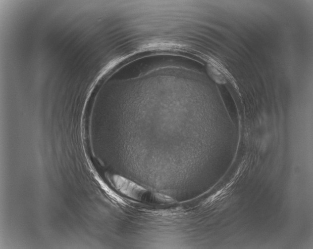 X0000052571037200507081656