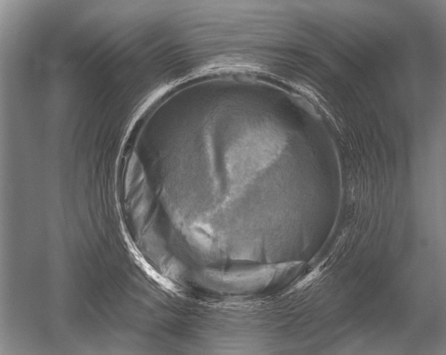 X0000052571038200507081656