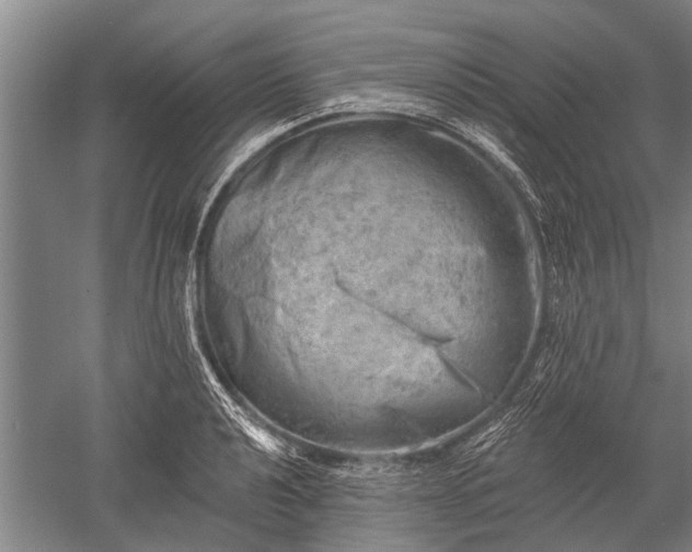 X0000052571040200507081656