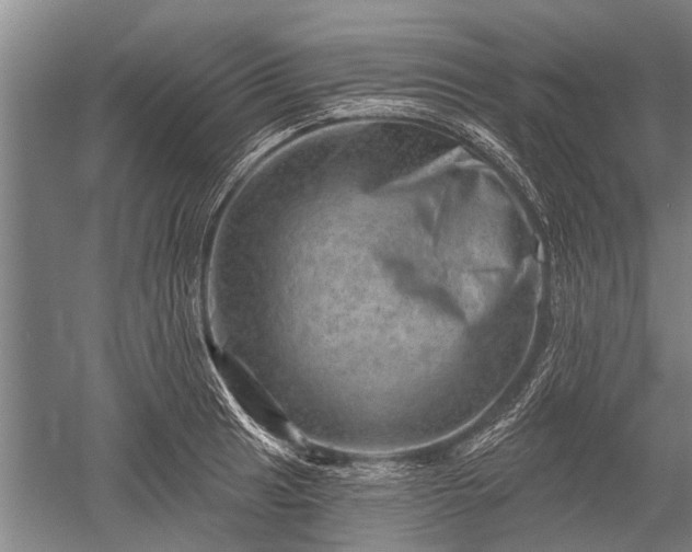 X0000052571041200507081656