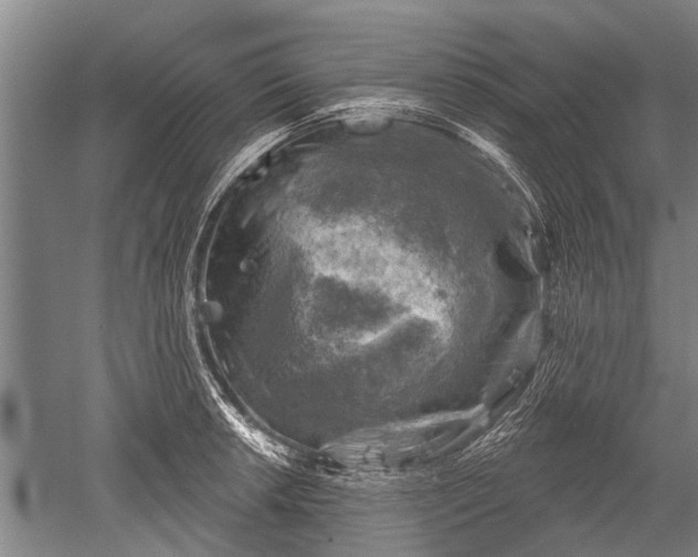 X0000052571042200507081656