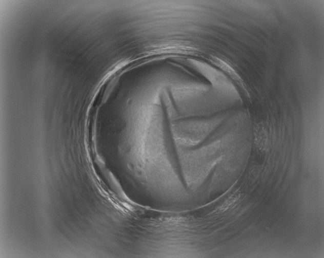 X0000052571043200507081656