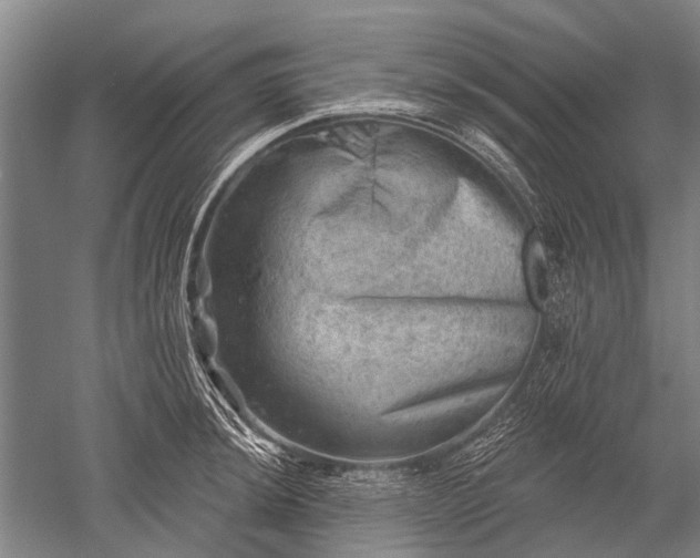 X0000052571044200507081656