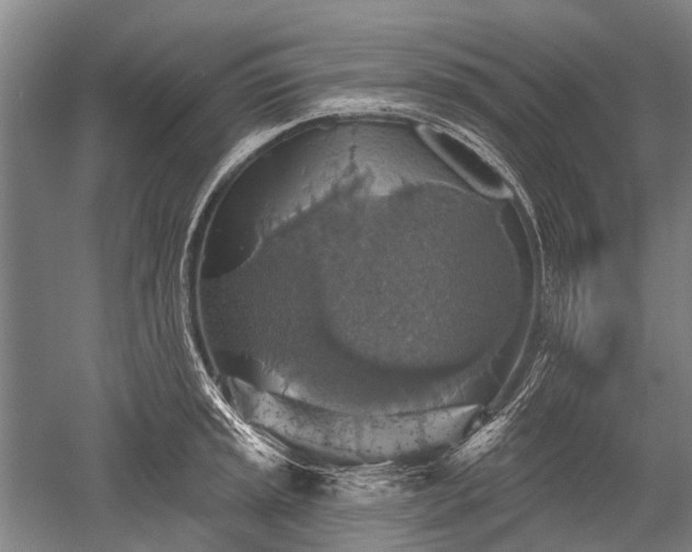 X0000052571045200507081656