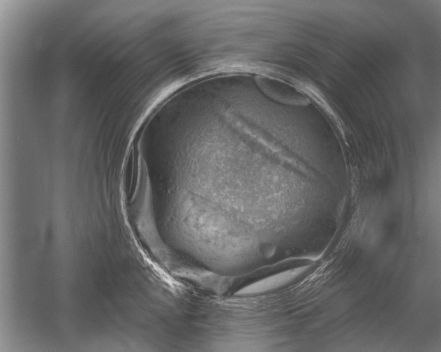 X0000052571048200507081656