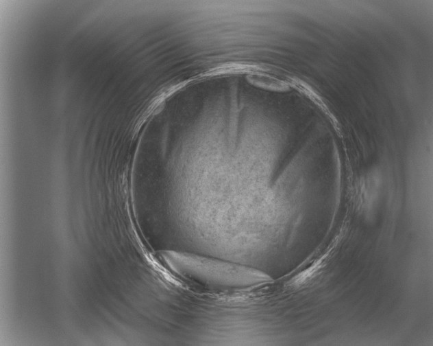 X0000052571049200507081656