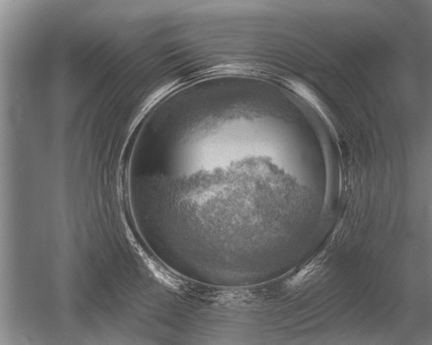 X0000052571050200507081656