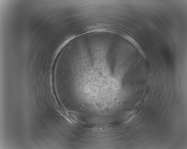 X0000052571051200507081656