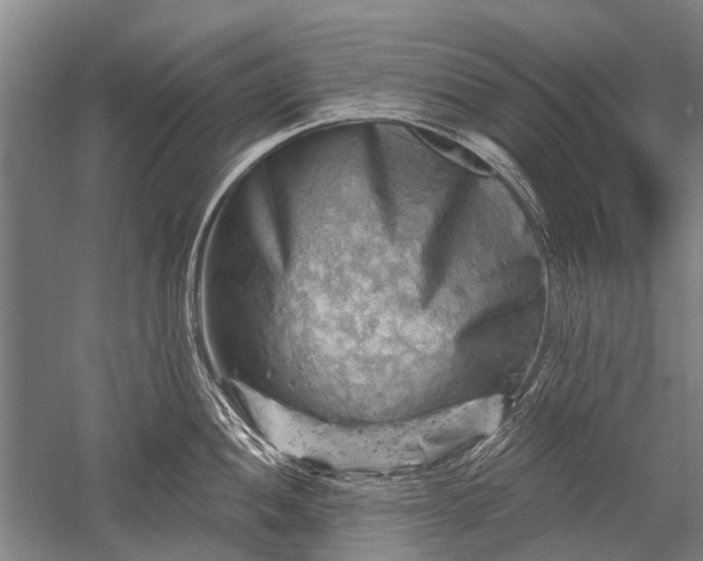 X0000052571052200507081657