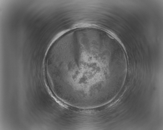 X0000052571053200507081657