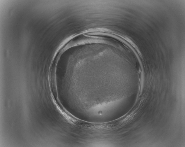 X0000052571054200507081657