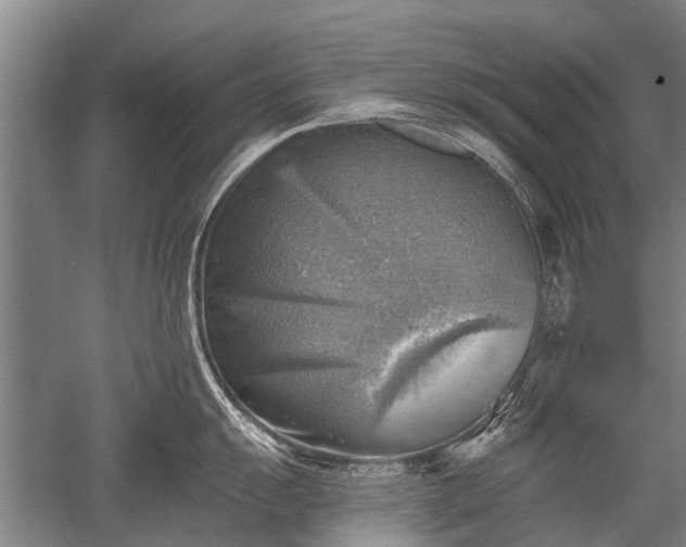 X0000052571055200507081657