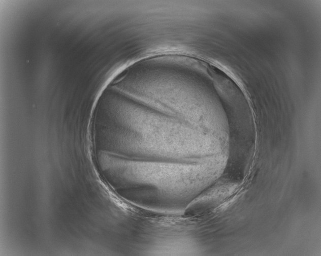 X0000052571056200507081657