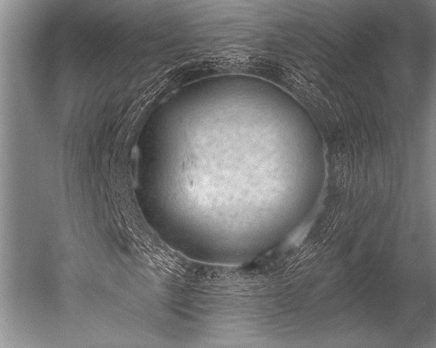 X0000052571057200507081656