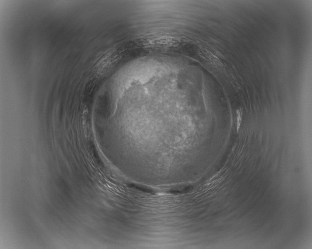 X0000052571059200507081656