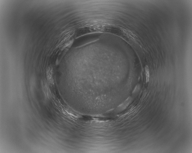 X0000052571060200507081656