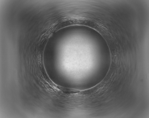 X0000052571061200507081656