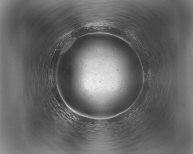 X0000052571062200507081656