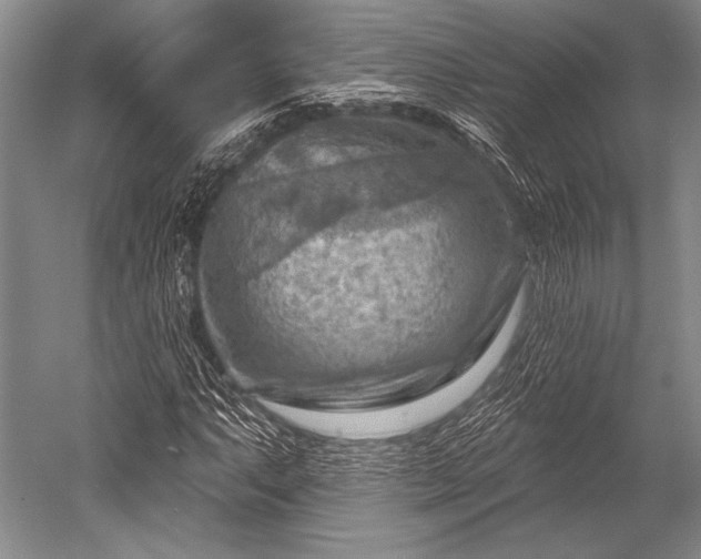 X0000052571063200507081656