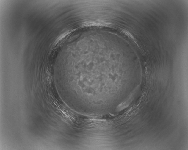 X0000052571064200507081656