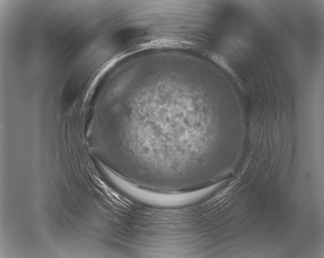 X0000052571067200507081656