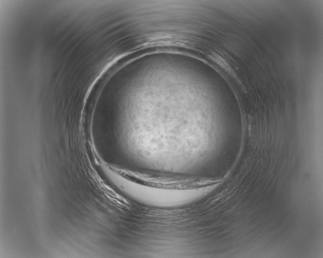 X0000052571068200507081656