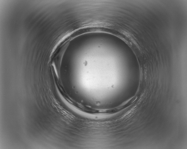 X0000052571069200507081656