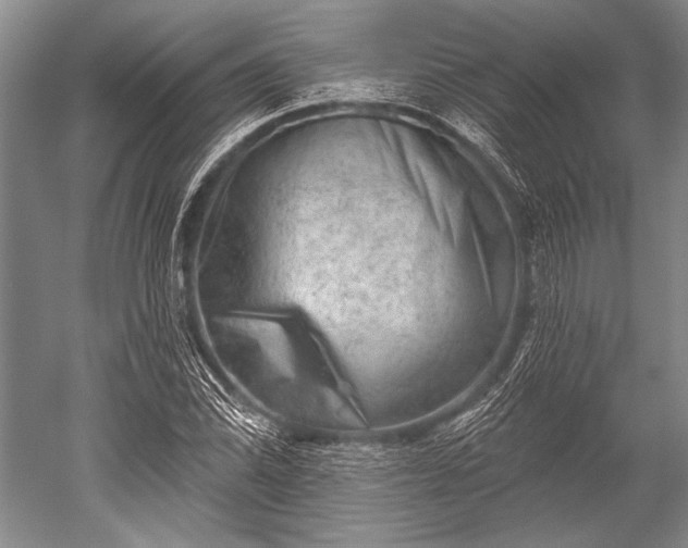 X0000052571070200507081656