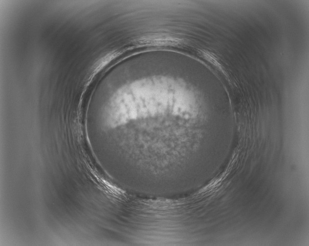 X0000052571071200507081656