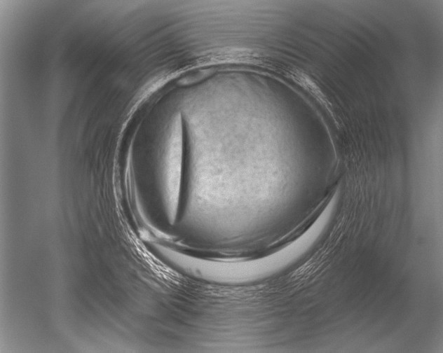 X0000052571072200507081656