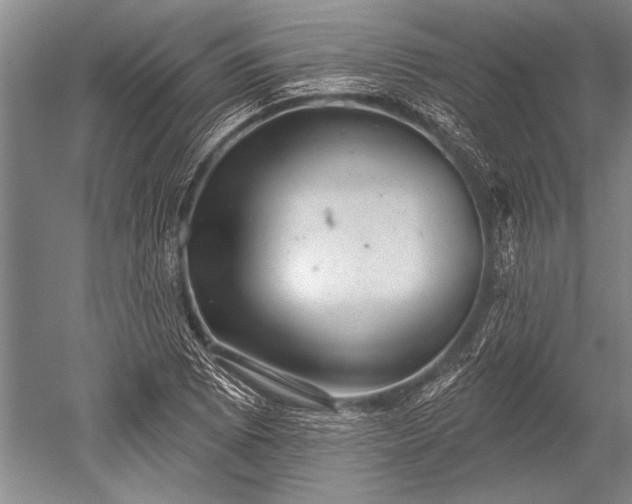 X0000052571073200507081655