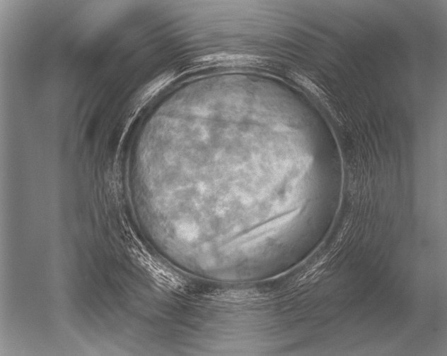 X0000052571074200507081655